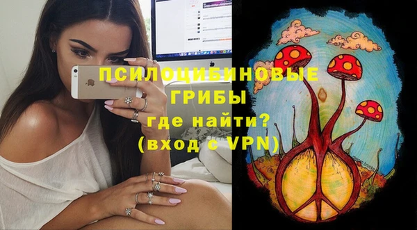 apvp Лихославль