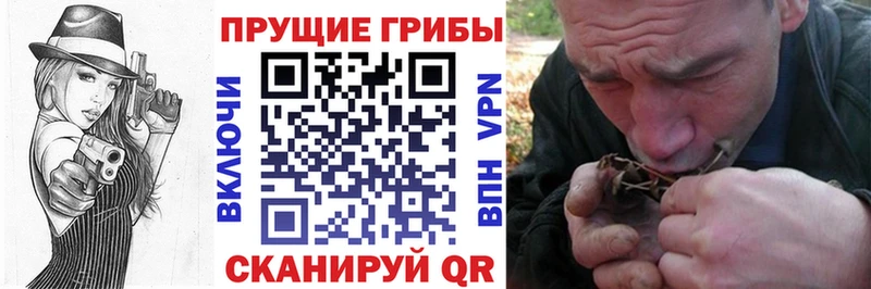 мориарти состав  Чаплыгин  Галлюциногенные грибы MAGIC MUSHROOMS 